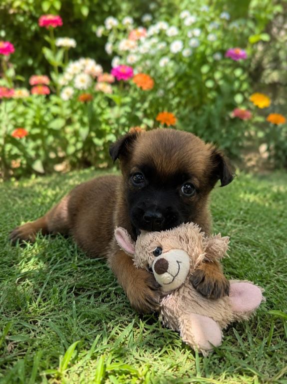MINNIE