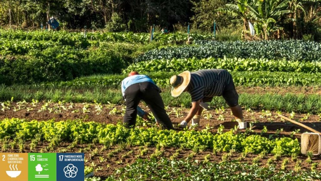 Prefeitura de Pedreira abre chamamento público para aquisição de gêneros alimentícios da “Agricultura Familiar”