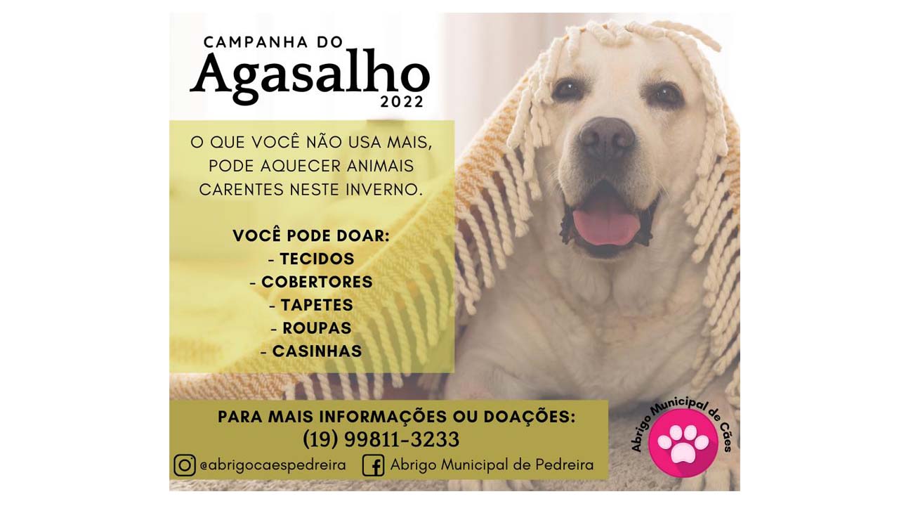 Abrigo Municipal de Cães de Pedreira realiza “Campanha do Agasalho”