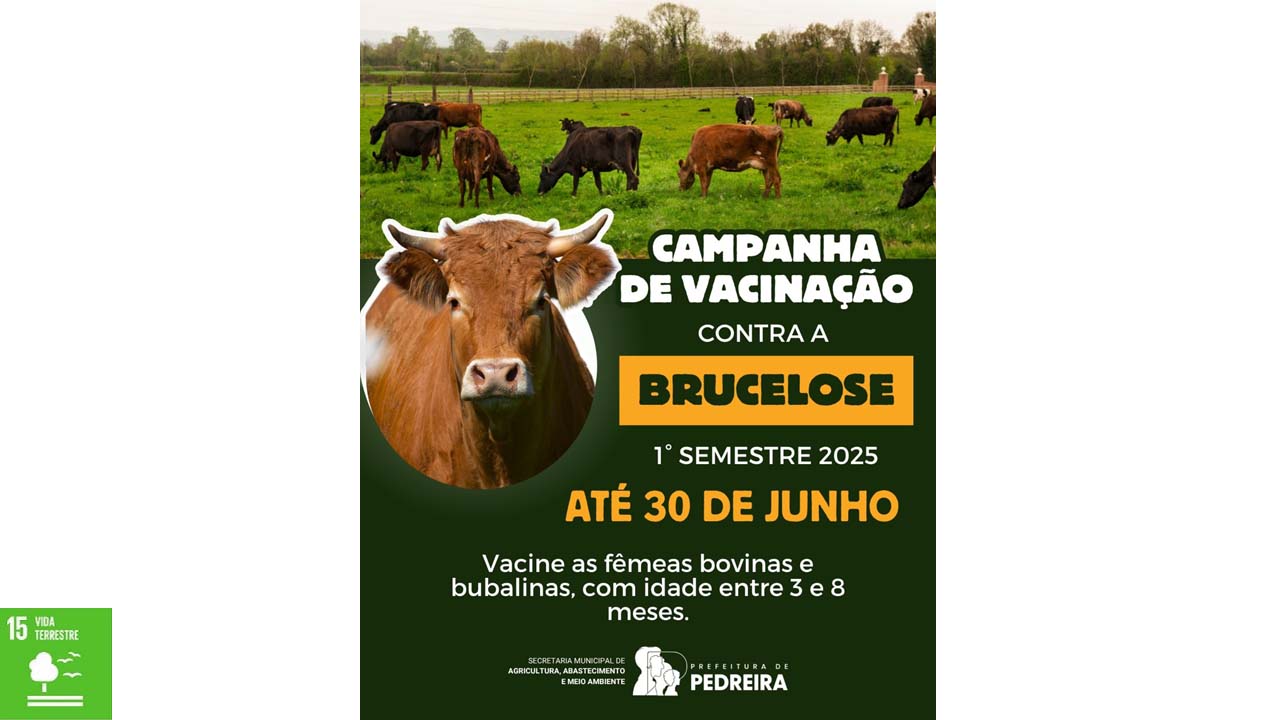 Campanha de Vacinação contra a Brucelose termina no dia 30 de junho