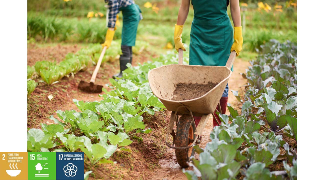 Prefeitura de Pedreira abre chamamento público para aquisição de gêneros alimentícios provenientes da “Agricultura Familiar”