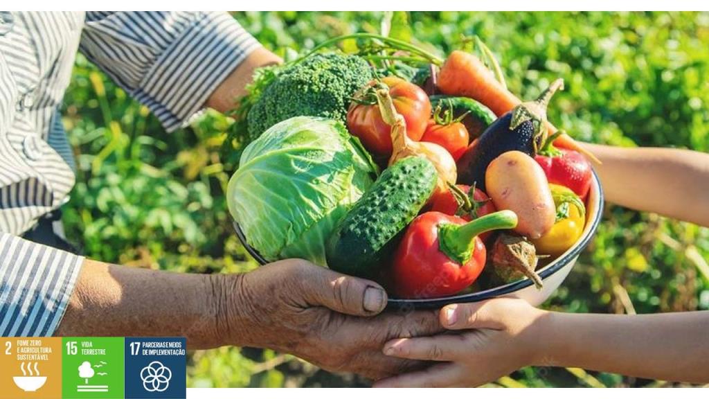 Prefeitura Municipal de Pedreira abre chamamento público para aquisição de gêneros alimentícios da “Agricultura Familiar”