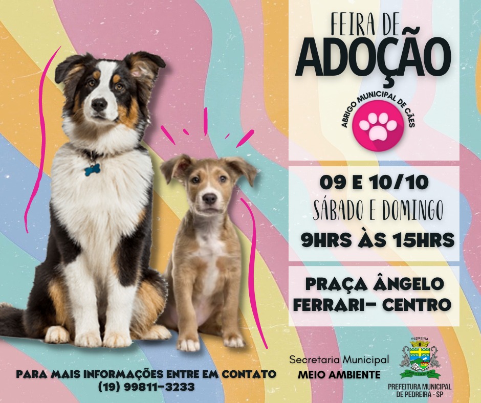 Feira de Adoção de Cães será realizada nos dias 9 e 10 de outubro