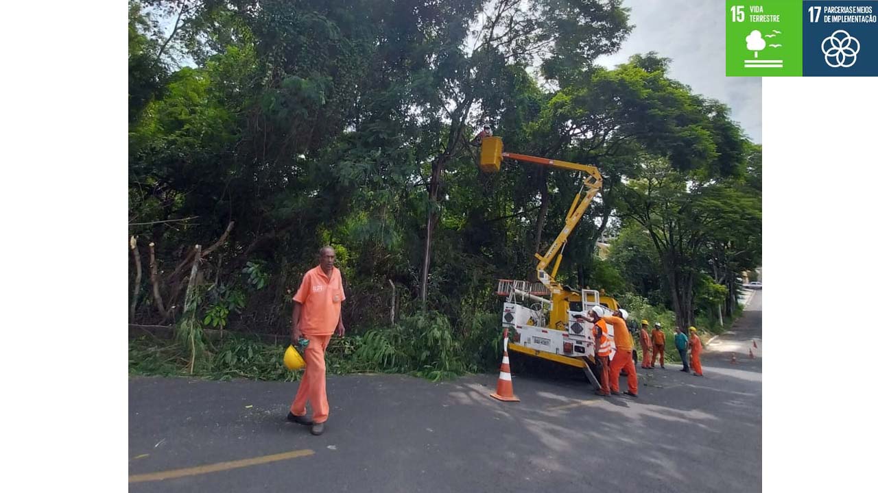 Prefeitura Municipal investe na reforma do Zoo-Bosque de Pedreira
