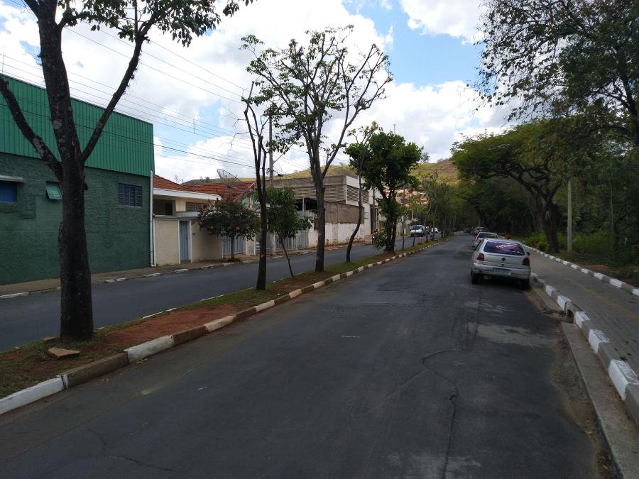 Avenida Joaquim Carlos terá interrupção no trânsito de veículos para o transplante de árvores