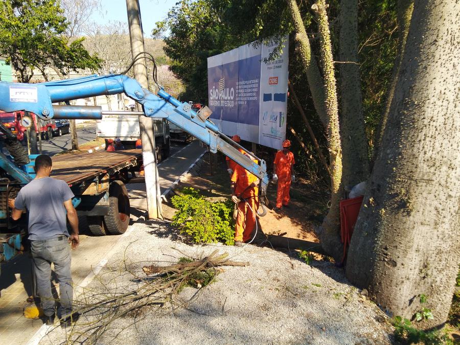 Secretaria de Serviços Urbanos retira Árvore Ingá do leito do Rio Jaguari