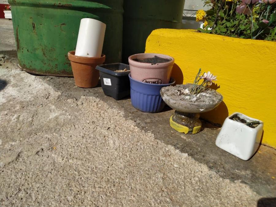 Secretarias de Saúde e de Meio Ambiente realizam limpeza no Cemitério Santa Cruz