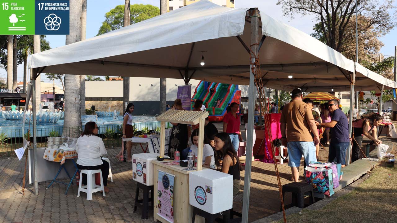 9ª Feira Rural “Mãos que Geram” aconteceu na Praça Ângelo Ferrari com muitas atrações
