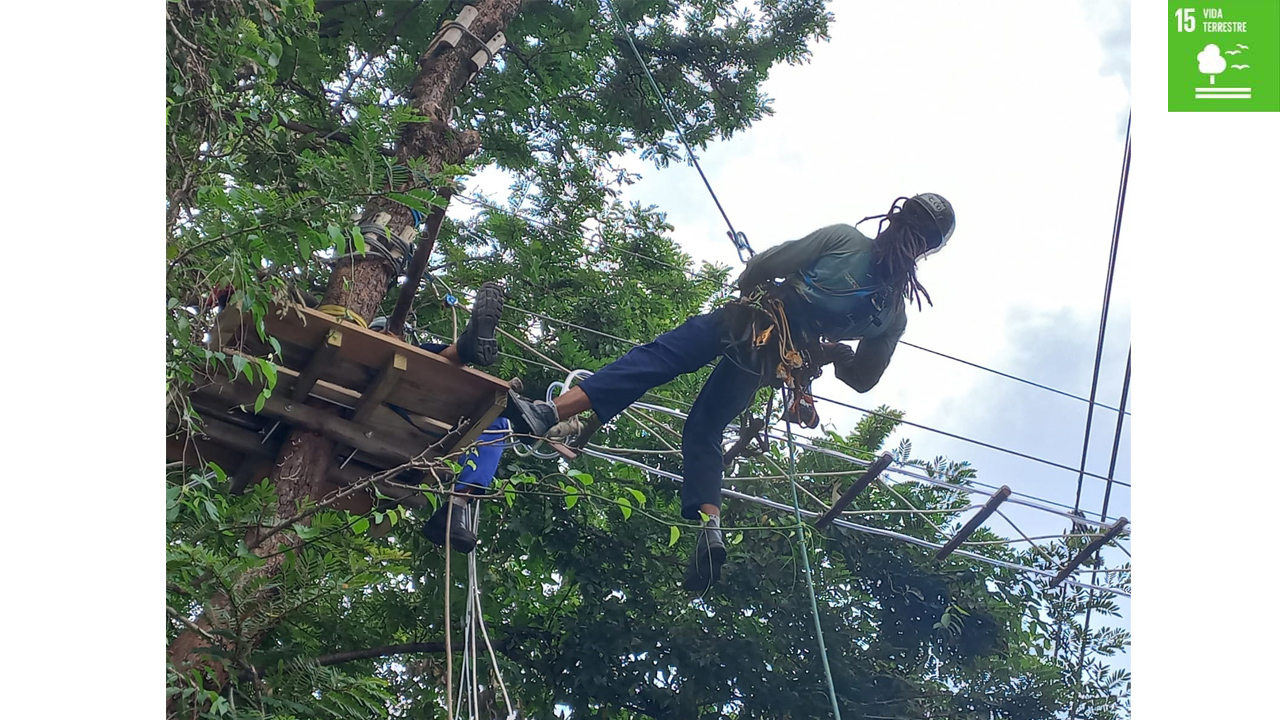 Pedreira ganha sua primeira “Passagem de Fauna” instalada na Rodovia SP-95