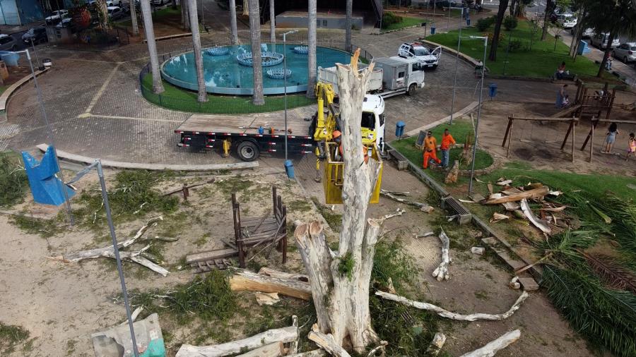 Prefeitura de Pedreira retira árvore “Pau Ferro” da Praça Ângelo Ferrari