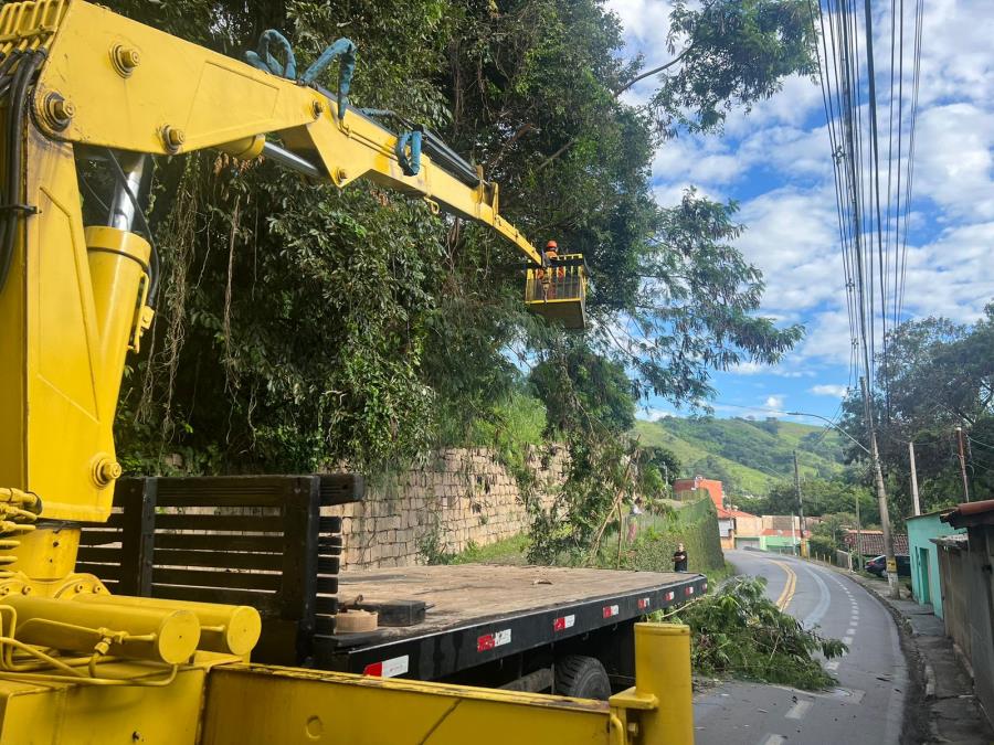 Secretaria de Meio Ambiente de Pedreira realizou poda de árvores na Avenida Joaquim Carlos