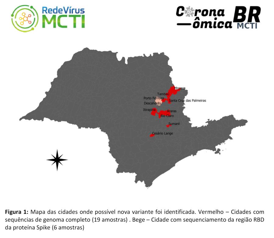 Covid-19: estudo da Unesp mostra mutação em variante que circula em Porto Ferreira