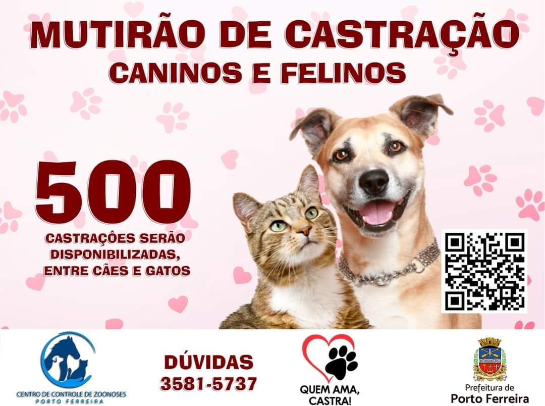 Mutirão para castração de cães e gatos tem últimos dias de inscrição