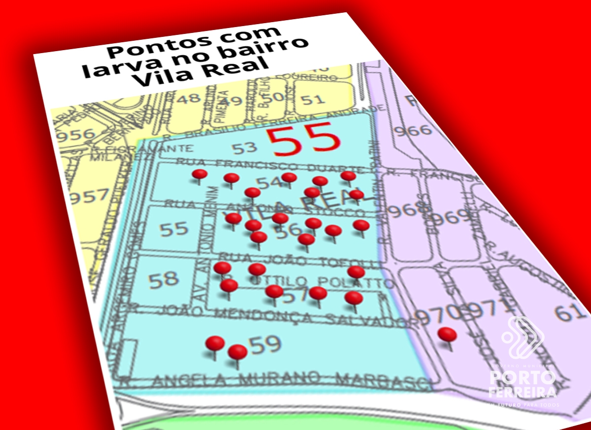 Dengue Controle De Vetores Considera “alarmante” Número De Pontos Com Larva Do Mosquito Em 9946