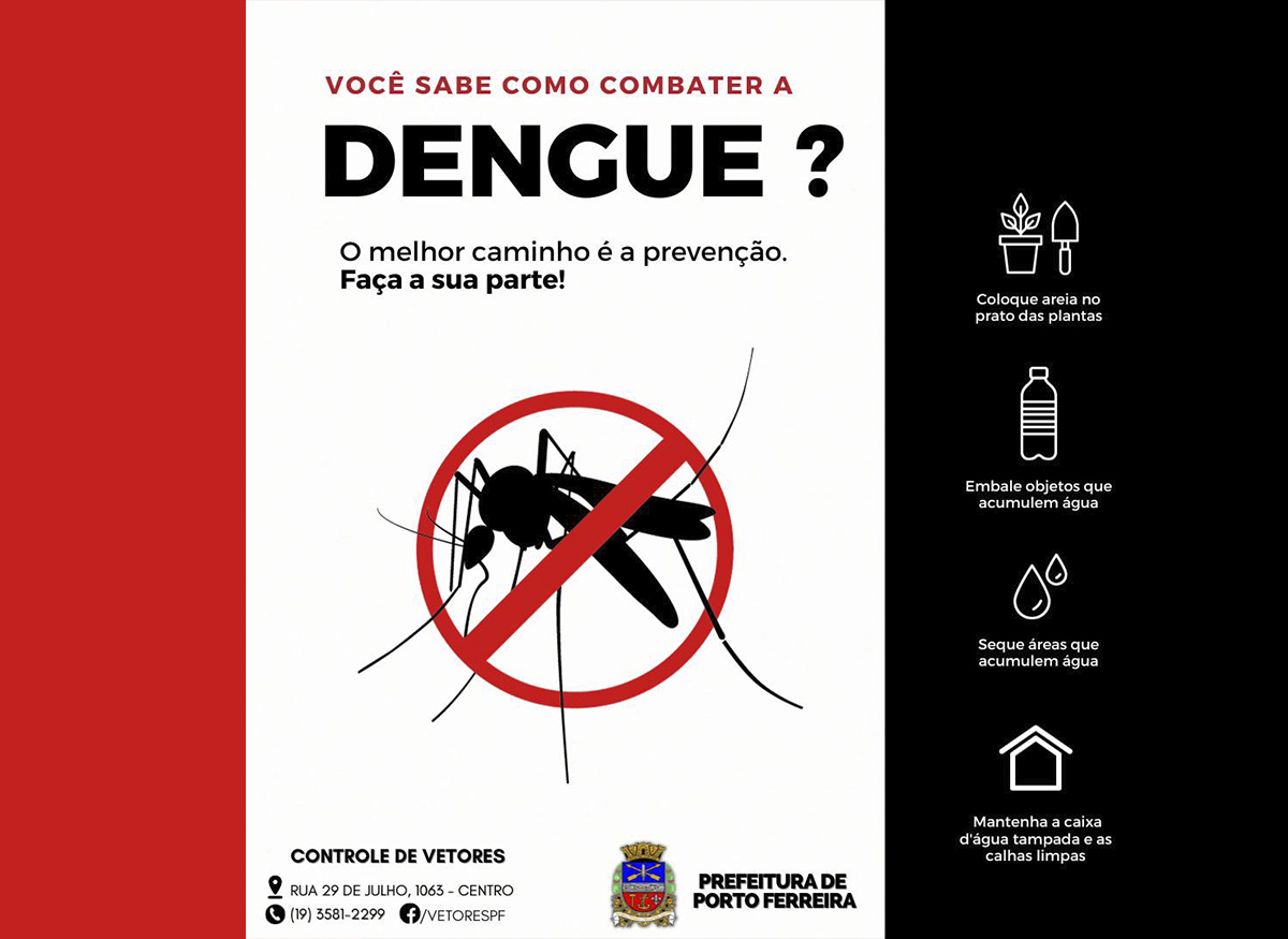 Porto Ferreira dobra o número de casos de dengue em 15 dias e total chega a 99