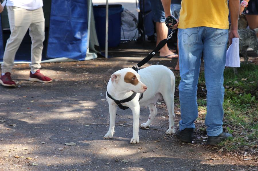 Centro de Controle de Zoonoses de Porto Ferreira realizara o projeto "CCZ mais perto de você" durante o mês de fevereiro.