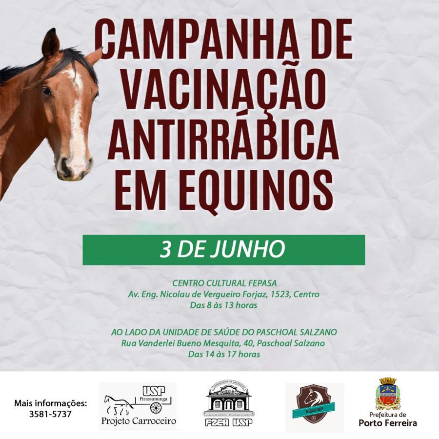 Porto Ferreira fará vacinação antirrábica e microchipagem em equídeos do município de forma gratuita