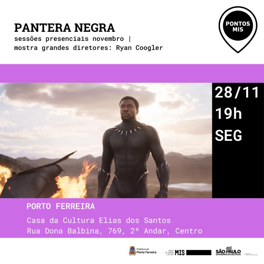 Novo filme do 'Pantera Negra' entra em cartaz nesta semana nos