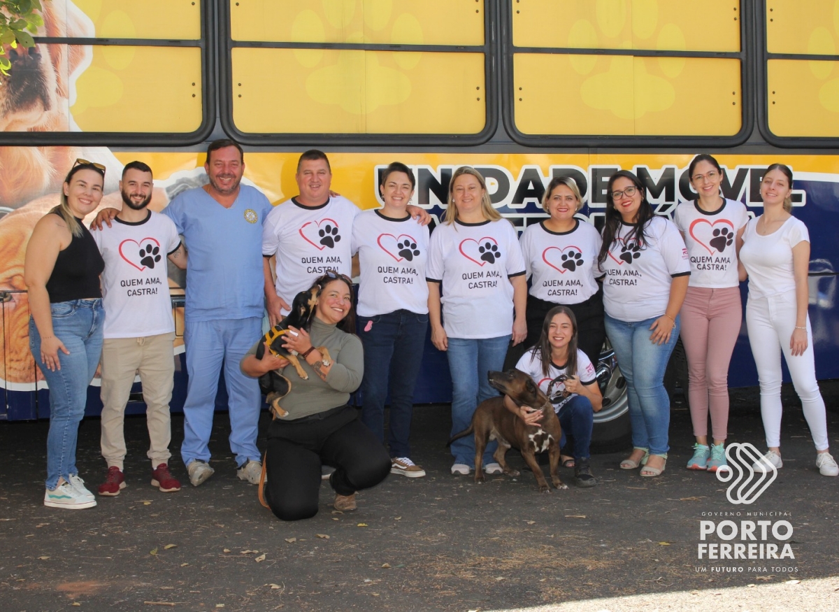 Mutirão no sábado castrou e microchipou mais de 200 cães e gatos