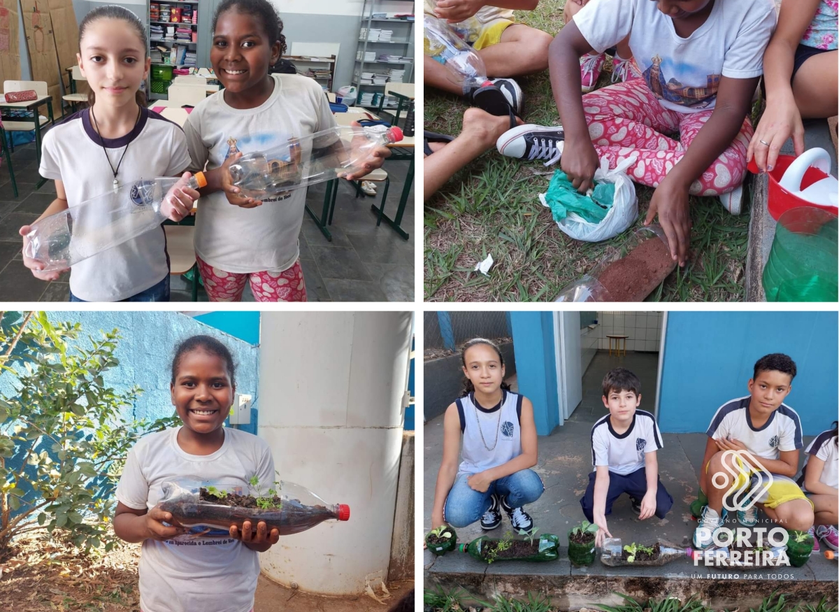 Horta escolar trabalha habilidades do currículo paulista e busca melhorar hábitos alimentares das crianças