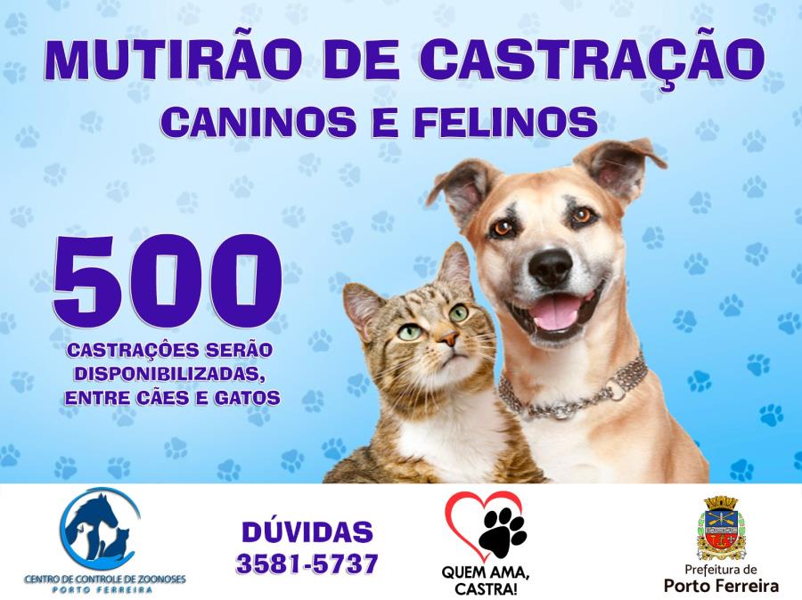 Centro de Controle de Zoonoses abre inscrições para o mutirão de castração gratuita de cães e gatos no município de Porto Ferreira.