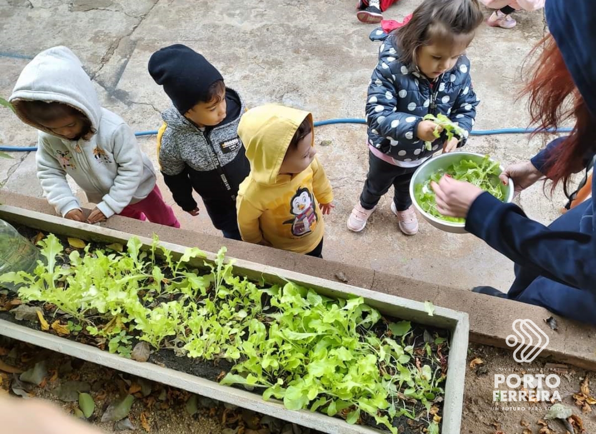 Importância da alimentação saudável na primeira infância é abordada pela Secretaria de Educação
