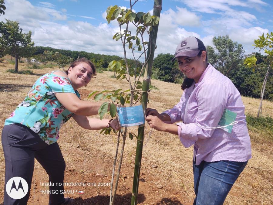 PLANTIO DE ÁRVORES E RODA DE CONVERSA MARCAM A CAMPANHA JANEIRO BRANCO EM QUADRA/SP