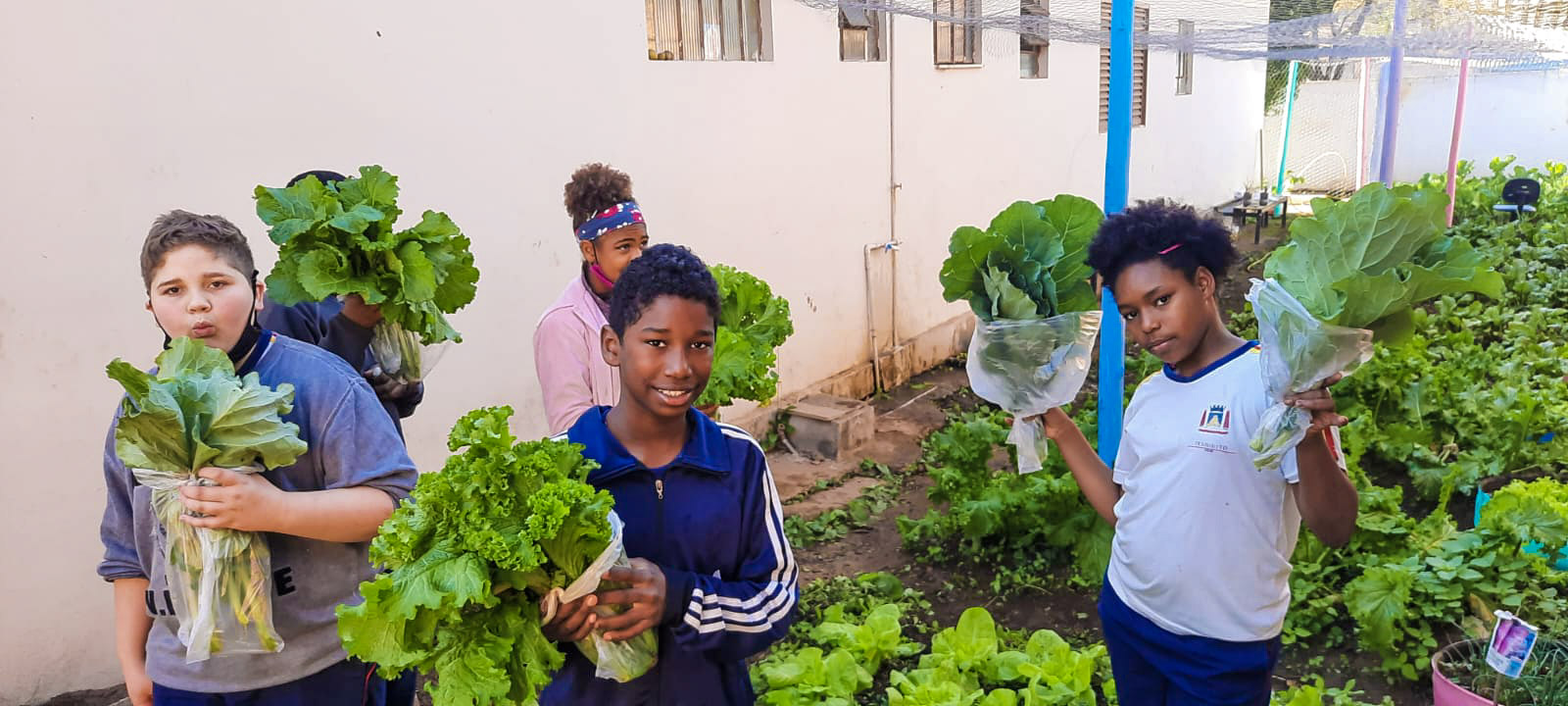 Estudantes de Itabirito realizam primeira colheita na horta da Casa de Projetos