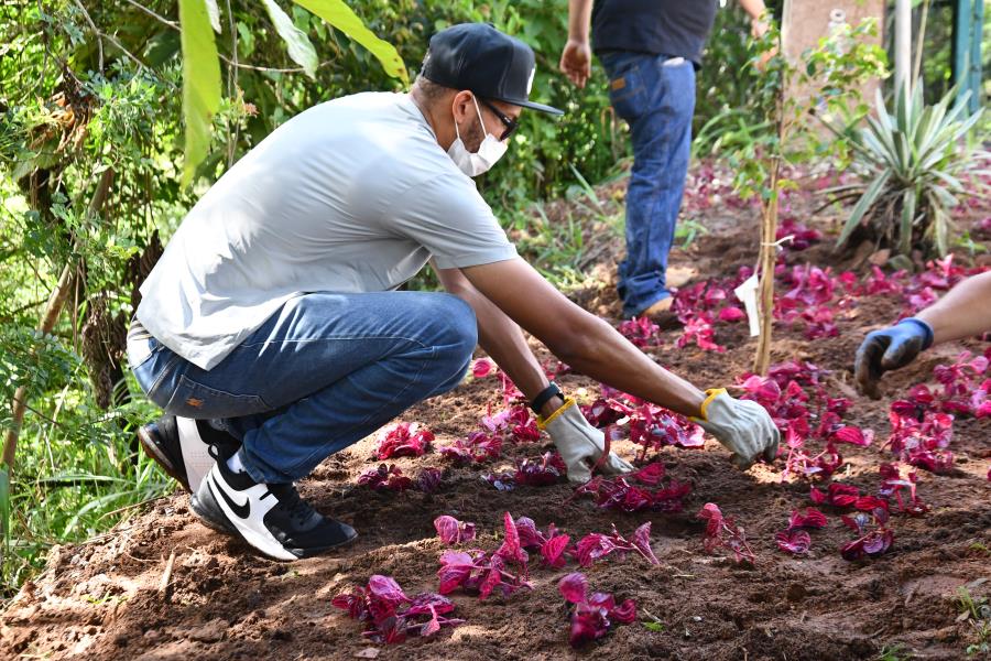 Prefeitura de Itabirito realiza plantio de mudas no Parque Ecológico