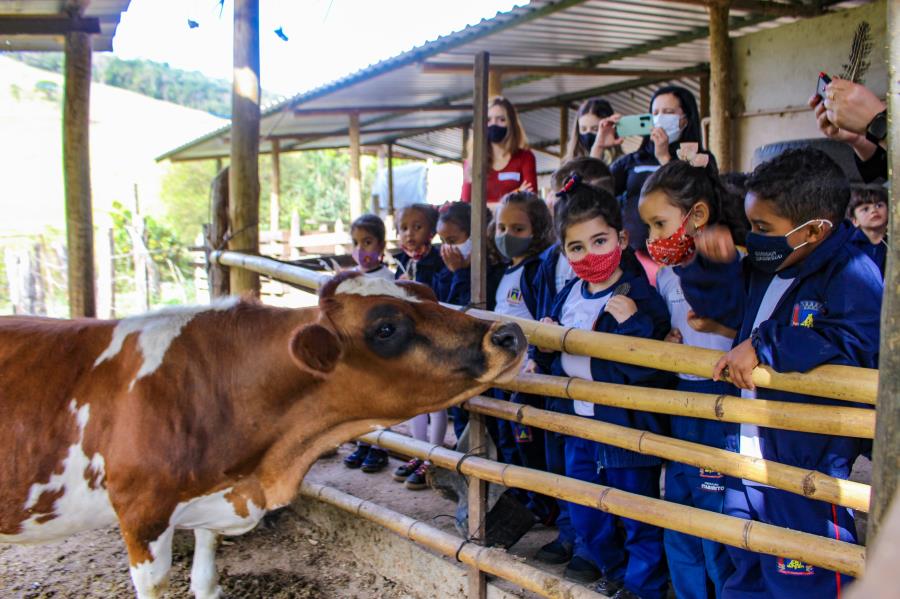 Prefeitura de Itabirito realiza visita pedagógica com estudantes a propriedade de agricultores familiares