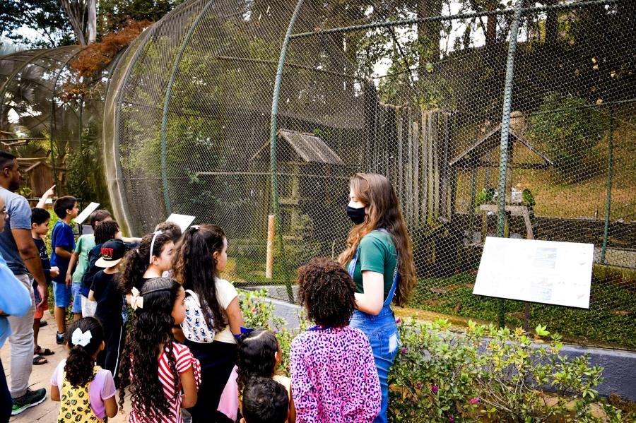 Férias no Parque: Prefeitura de Itabirito promove atividades gratuitas de entretenimento e educação ambiental
