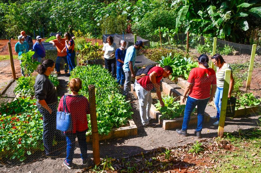 Programa PROSA: Prefeitura de Itabirito promove dia de visitação de servidores ao viveiro municipal