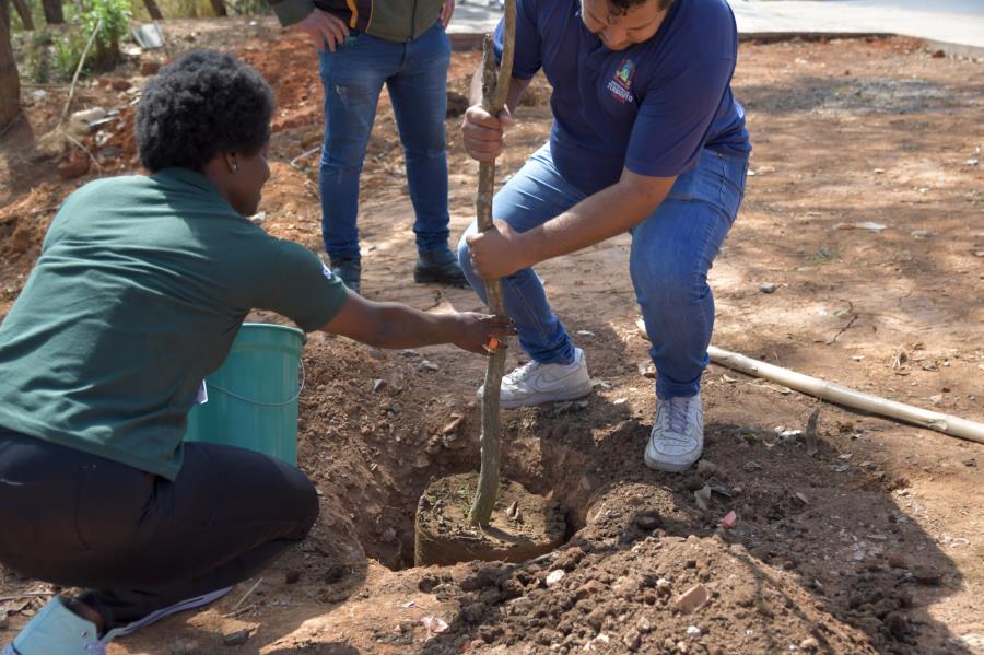 Prefeitura de Itabirito realiza plantio de mudas no bairro Padre Adelmo