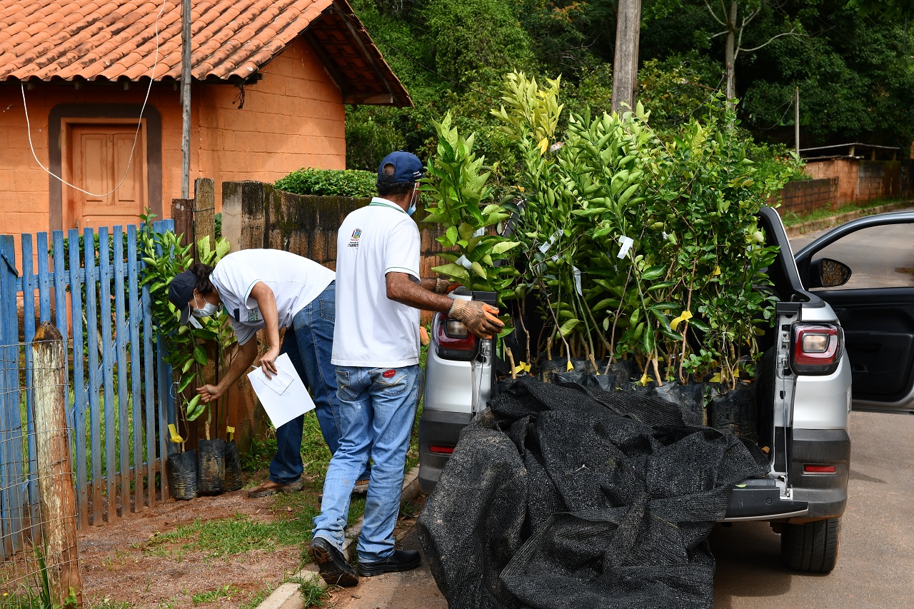 Prefeitura de Itabirito realiza distribuição de mudas no distrito de São Gonçalo do Monte