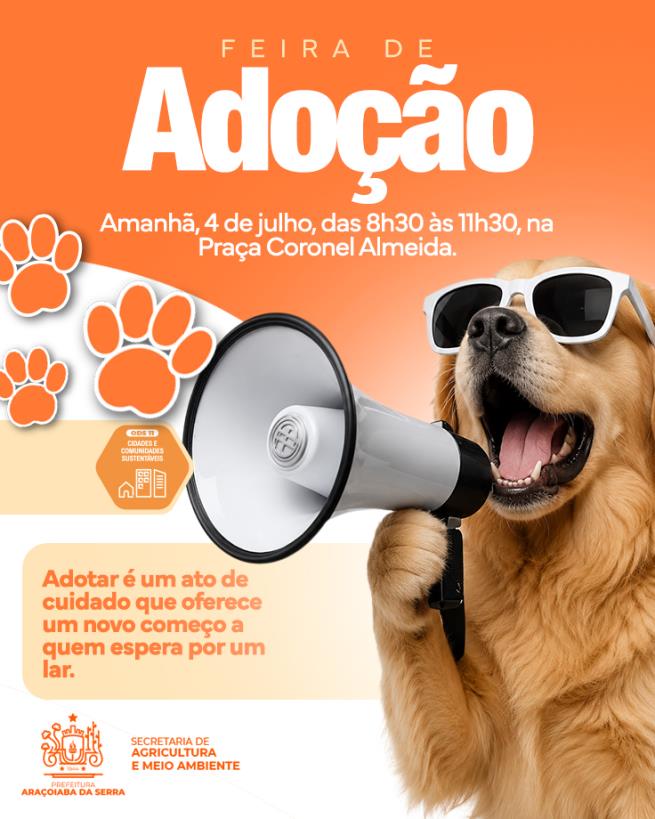 Feira de Adoção de Cães acontece amanhã na Praça Coronel Almeida
