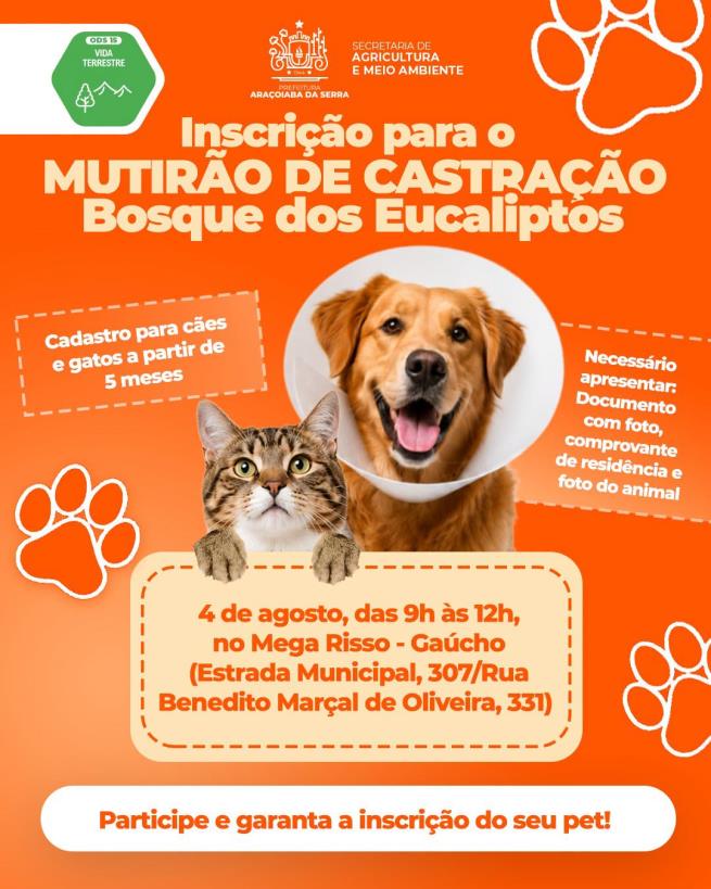 Bosque dos Eucaliptos recebe inscrições para mutirão de castração gratuita