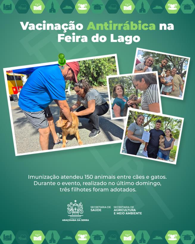 Vacinação antirrábica imuniza 150 animais e incentiva a adoção responsável