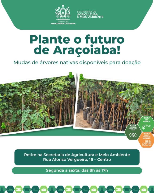Plante o Futuro: SAMA Realiza Doação de Mudas