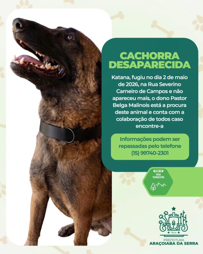Ajude a encontrar a Katana