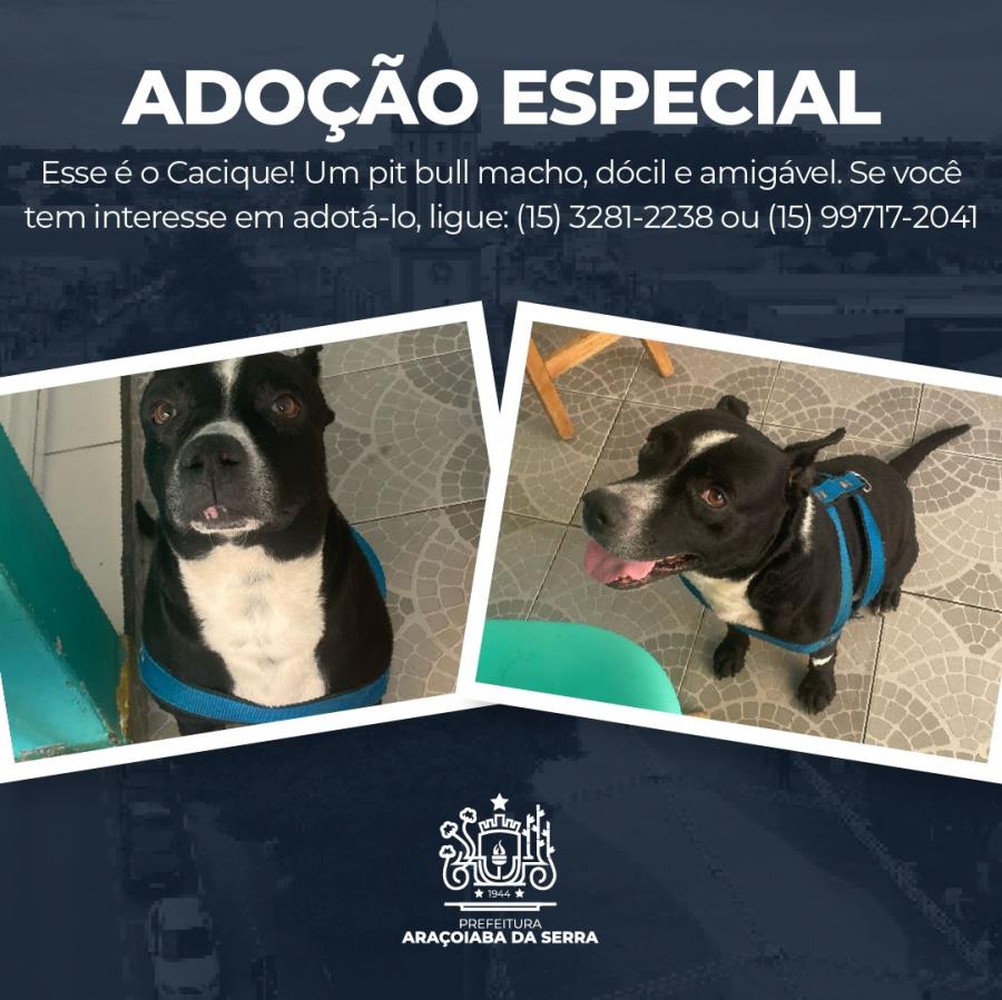 Adote o Cacique