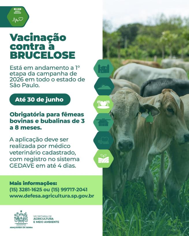 Campanha de Vacinação Contra a Brucelose Segue Até 30 de Junho em Araçoiaba da Serra