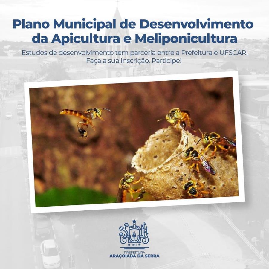 Apicultura e Meliponicultura