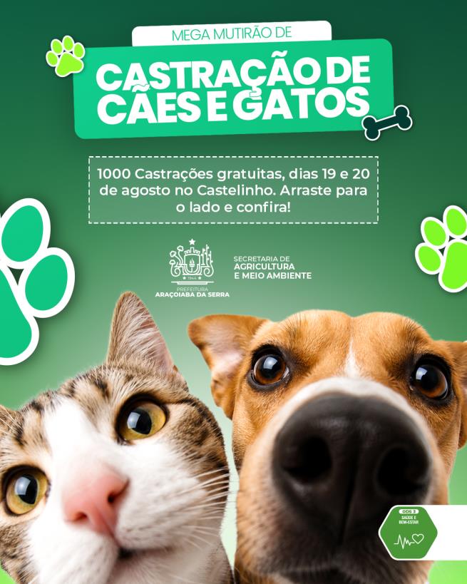 Mega Mutirão de Castração oferece 1.000 vagas gratuitas para cães e gatos