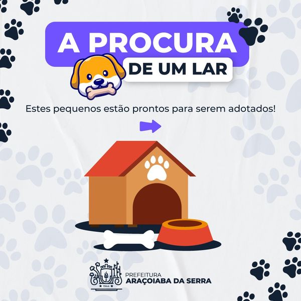 Adoção especial!