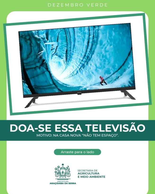 Dezembro Verde: juntos no combate ao abandono e aos maus-tratos contra animais