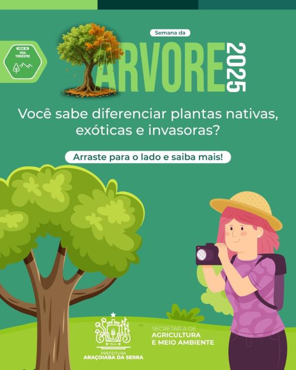Semana da Árvore 2025: Você sabe diferenciar plantas nativas, exóticas e invasoras?