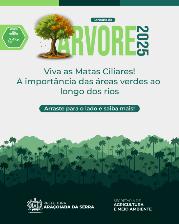 Semana da Árvore 2025: Proteja as matas ciliares
