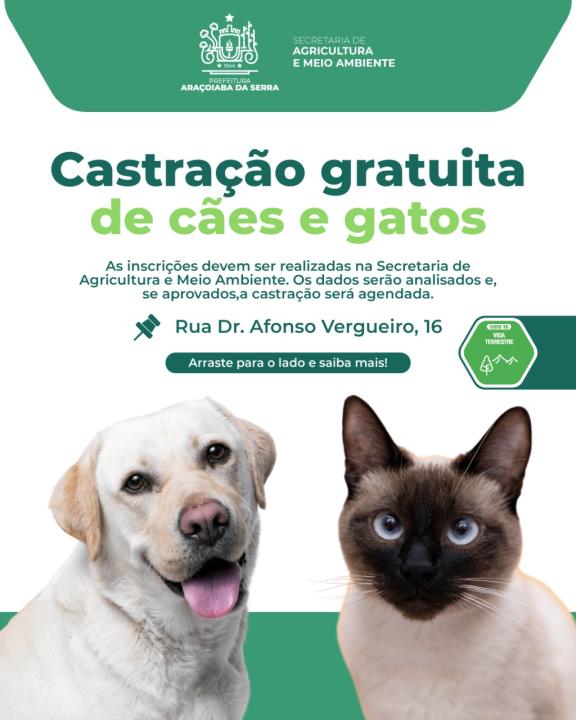 Campanha de Castração