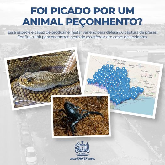 Saiba como agir em caso de picada por animal peçonhento!