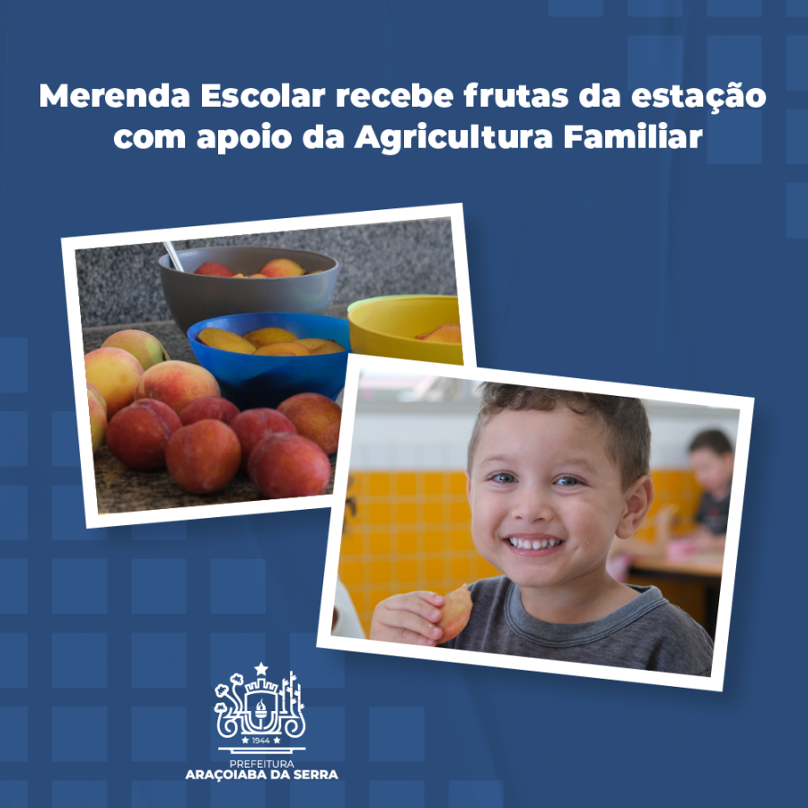 Merenda escolar recebe frutas da estação com apoio da agricultura familiar